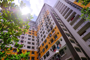 Modern urban architecture concept. Exterior of typical public housing (HDB flats) in Singapore canberra estate, trees in foreground. Wide low angle, dynamic view; sun glow