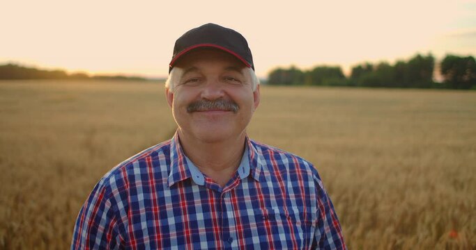 Portrait of a smiling Senior adult farmer in a cap in a field of cereals. In the sunset light, an elderly man in a tractor driver after a working day smiles and looks at the camera.