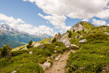 St. Moritz, Corviglia, Wanderweg, via Engiadina, Piz Corvatsch, Murtèl, Piz Surlej, Oberengadin, Wanderweg, Alpen, Graubünden, Sommer, Schweiz