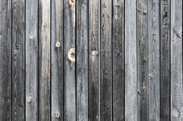 Fototapeta premium Gray wooden background. Grunge texture. Old wood background for your design.