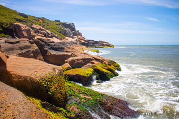 Fototapeta na wymiar Costa Praia do Rosa SC 2020
