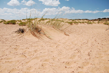 Coral Pink Sand Dunes State Park