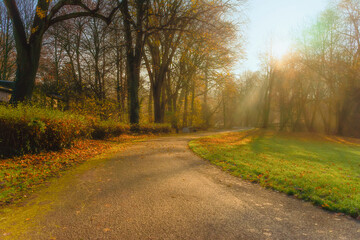 Foggy morning in the old autumnal park. Sunbeams falling on the colorful trees, path wih wooden benchs