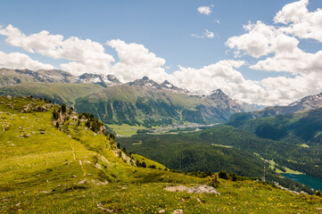Naklejka premium Corviglia, Oberengadin, Pontresina, Stazerwald, Muottas Muragl, Piz Muragl, Schafberg, Alp Languard, Piz Languard, Wanderweg, Alpen, Bernina, Graubünden, Sommer, Schweiz