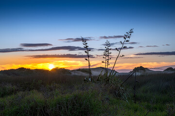 Abendstimmung Südinsel Neuseeland