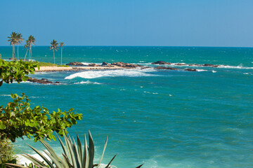 tropical beach with palm trees