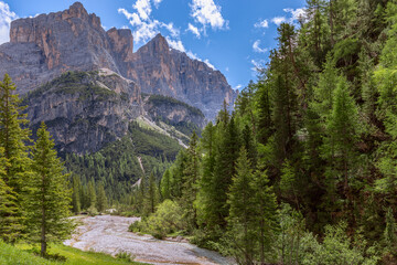 Fototapeta na wymiar Mountain stream in the Italian Dolomite Alps surrounded by fresh forest