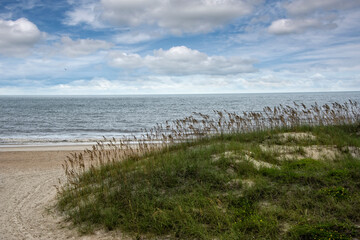 Fototapeta na wymiar Sand Dune on Fernandina Beach, Florda