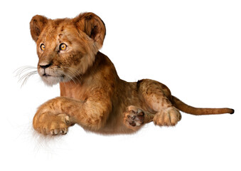 3D Rendering Lion Cub on White