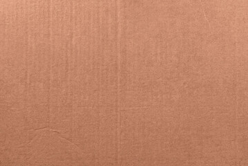 Real cardboard texture background for your design