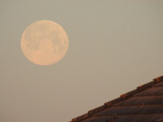 lune