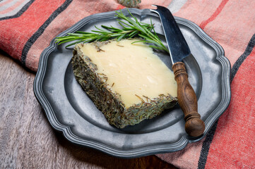 Cheese collection, pieces of sheep hard cheese made with aromatic dried rosemary herb
