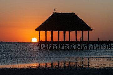 A hut over Caribbean Ocean at sunset, a little bird in the top of the hut, reflections on the water of the Caribbean Sea, Holbox, Mexico
