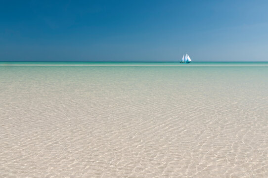 Panoramic image of bright blue turquoise clear water with a sailboat at the center on a bright sunny day. Holbox Island, Mexico