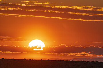Fototapeta na wymiar Rise of the sun close up