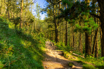 Paisajes de montes del Pais Vasco en la zona de Urnieta y Andoain, Adarra