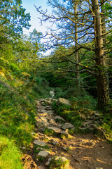 Paisajes de montes del Pais Vasco en la zona de Urnieta y Andoain, Adarra