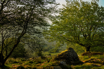 Paisajes de montes del Pais Vasco en la zona de Urnieta y Andoain, Adarra