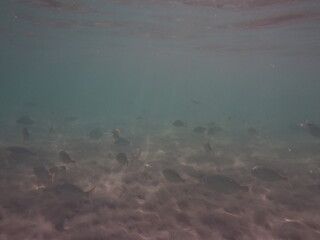 Unter Wasser