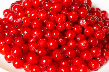 
red currant berries close up on a white background