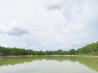 Fototapeta premium Landscape view of a tree reflected in the river with blue sky