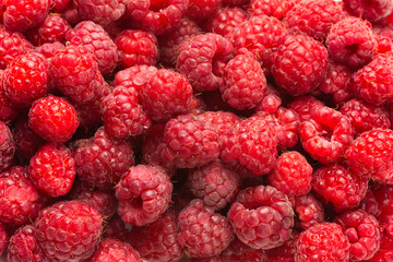 Tasty red raspberry background.
