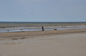 Fototapeta na wymiar Die Meer Küste und das Meer mit wenige Wellen und blauen Himmel. Nur eine Möwe ist am fliegen, ein Segel segelt, eine Person läuft mit einem Hund über dem Sand.