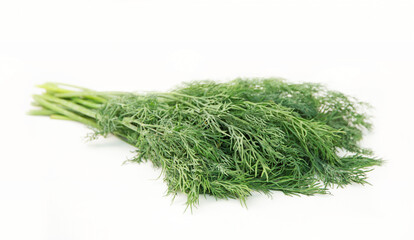 Fresh dill on white background
