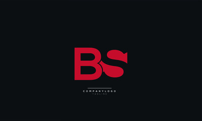 Letter BS Business Logo Design Alphabet Icon Vector Symbol