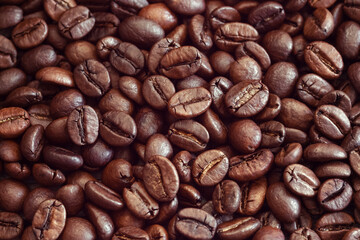 arabica coffee beans brown background