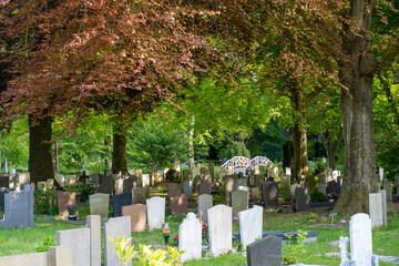 Alkmaar, Netherlands - Algemene begraafplaats