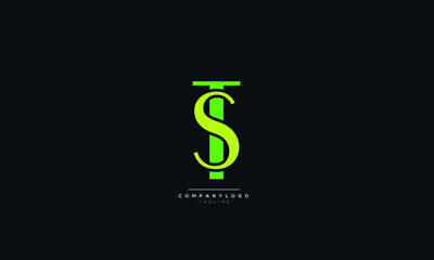 TS ST Letter Business Logo Design Alphabet Icon Vector Symbol