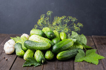 lightly salted cucumbers
Harvesting cucumbers for the winter in jars with dill and garlic. Fermented vegetables