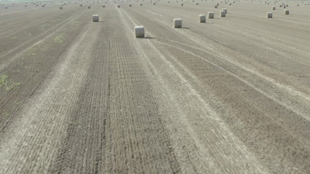 Drone is flying forward over the field with round bales of straw, after harvesting cereal. MAVIC 2 PRO 4K HQ 30fps DLog-M H.265 10 Bit Color
