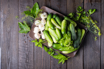 lightly salted cucumbers
Harvesting cucumbers for the winter in jars with dill and garlic. Fermented vegetables