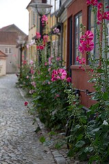 The beautiful city of Faaborg in Denmark