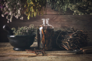 Comarum palustre (Potentilla palustris) stems and infusion bottle, hanging bunches of medical...