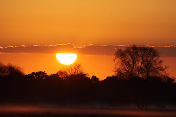 Colorful sunrise in a nature reserve. The Netherlands, Europe.