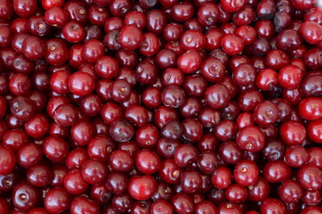 red cherries background