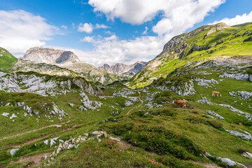 Fototapeta premium Fantastic hike in the Lechquellen Mountains in Vorarlberg Austria