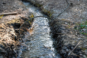 tiny stream irrigation through to forest