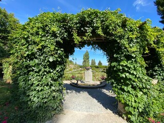 Italian Rose Garden or Italienscher Rosengarten (Flower Island Mainau on the Lake Constance or Die...