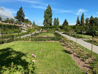 Italian Rose Garden or Italienscher Rosengarten (Flower Island Mainau on the Lake Constance or Die...