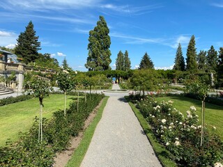 Italian Rose Garden or Italienscher Rosengarten (Flower Island Mainau on the Lake Constance or Die...