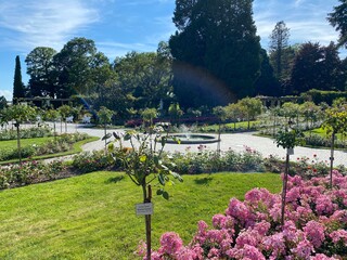Italian Rose Garden or Italienscher Rosengarten (Flower Island Mainau on the Lake Constance or Die...