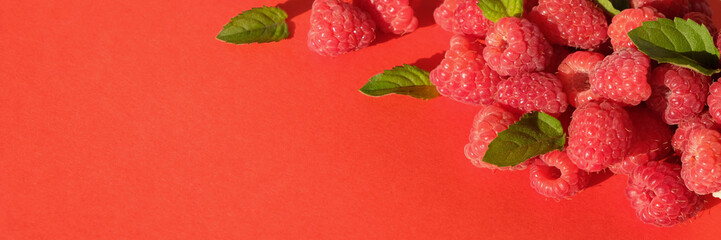 fresh raspberries with mint leaves on a red background