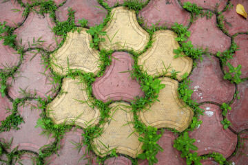 Grass growing around edges of stone tiles. 