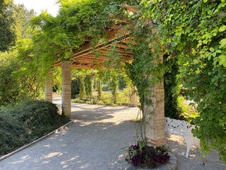 Italian Rose Garden or Italienscher Rosengarten (Flower Island Mainau on the Lake Constance or Die...