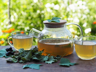 Tea in a glass teapot with cups with green leaves of black currant on a wooden colorful table.
