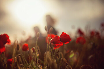 
poppies on the field in sunbeams against the background of figures of people